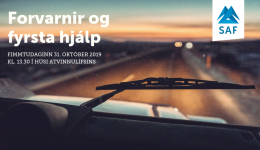 Forvarnir og fyrsta hjálp - fundur 31.10.19 (2)
