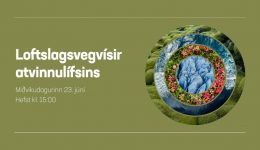 graenvangur_mynd
