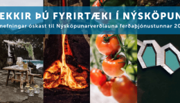 Nýsköpunarverðlaun ferðaþjónustunnar 2024 – þekkir þú fyrirtæki í nýsköpun?