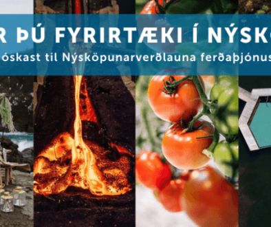 Nýsköpunarverðlaun ferðaþjónustunnar 2024 – þekkir þú fyrirtæki í nýsköpun?