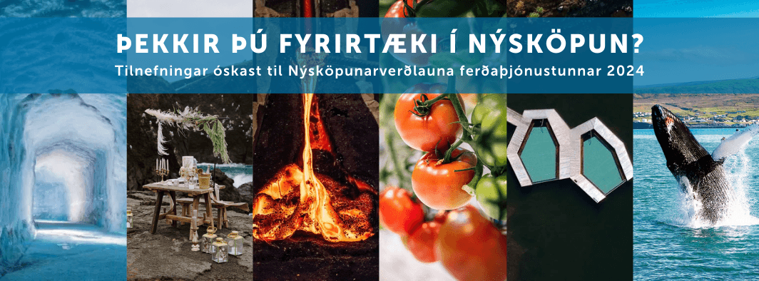 Nýsköpunarverðlaun ferðaþjónustunnar 2024 – þekkir þú fyrirtæki í nýsköpun?